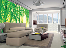 UV Digital Printed Glass