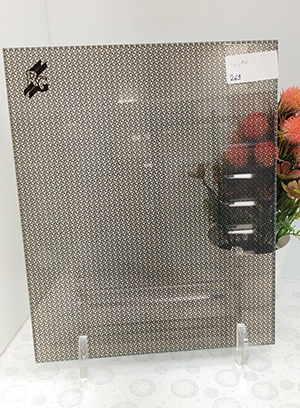 Fabric Laminated Glass